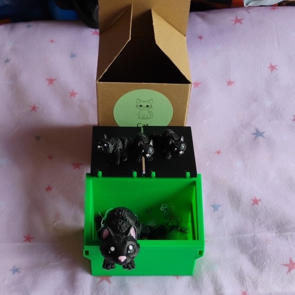 Cute Black Cat Earrings Set in Green Box